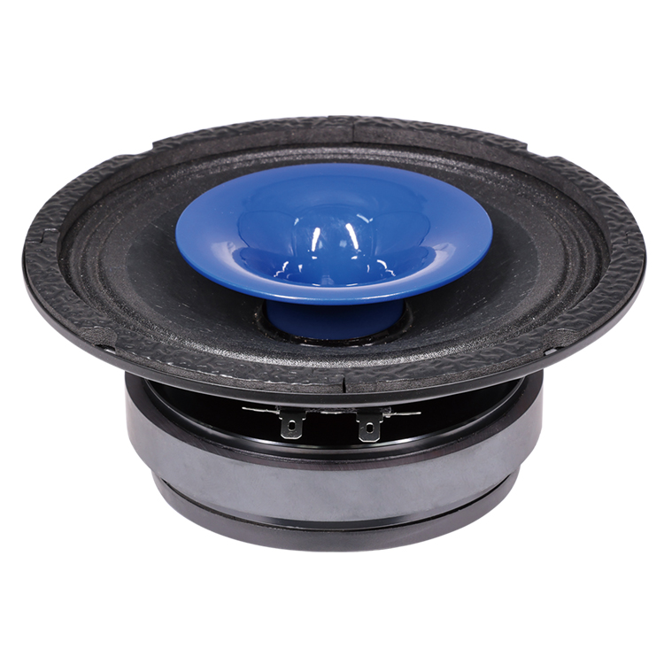 6.5 inch Shallow or Slim 2-Way Coaxial Horn Speaker